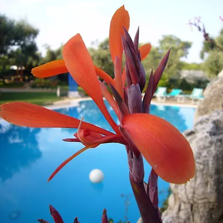 Vacanze Paradiso - Oasi Di Tranquillita Con Piscina E Giardino A 10 Min Dal Mare Aparthotel 3*