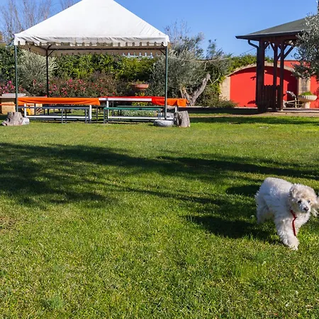 Vacanze Paradiso - Oasi Di Tranquillita Con Piscina E Giardino A 10 Min Dal Mare