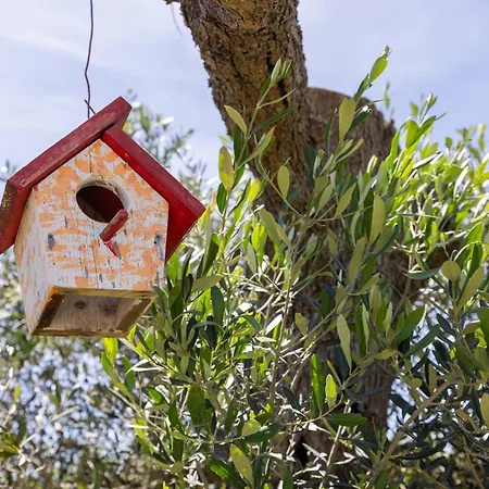 Vacanze Paradiso - Oasi Di Tranquillita Con Piscina E Giardino A 10 Min Dal Mare Aparthotel