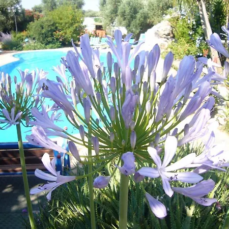 Vacanze Paradiso - Oasi Di Tranquillita Con Piscina E Giardino A 10 Min Dal Mare 3*