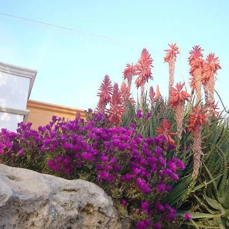 Aparthotel Vacanze Paradiso - Oasi Di Tranquillita Con Piscina E Giardino A 10 Min Dal Mare Neviano